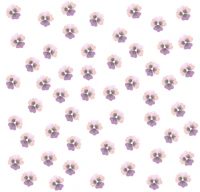 42077-06.webp