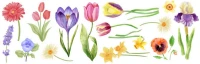 68021.webp
